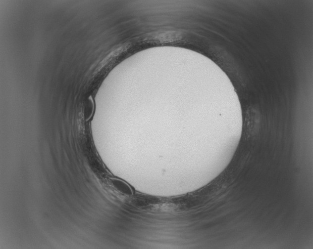 X0000076390212200611031704