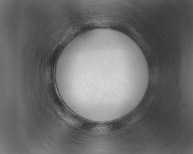 X0000076390213200611031703