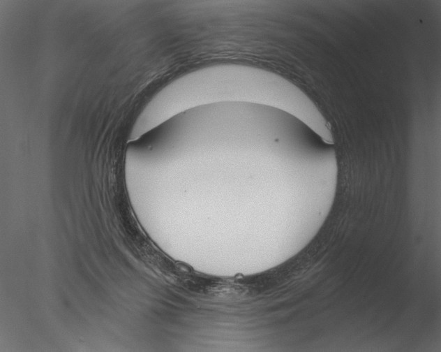 X0000076390215200611031703