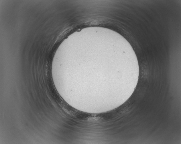 X0000076390216200611031703