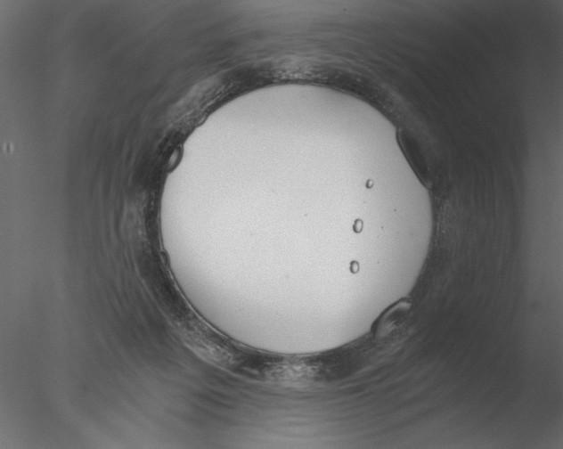 X0000076390217200611031703