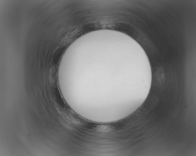 X0000076390218200611031703