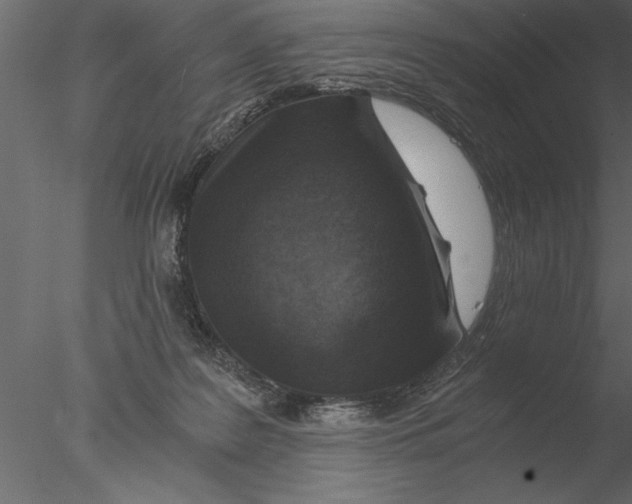 X0000076390219200611031703