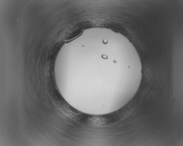 X0000076390221200611031703