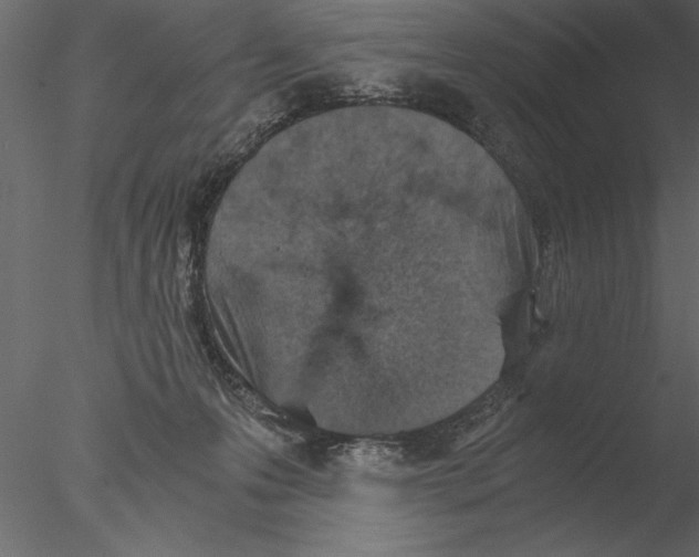 X0000076390223200611031703