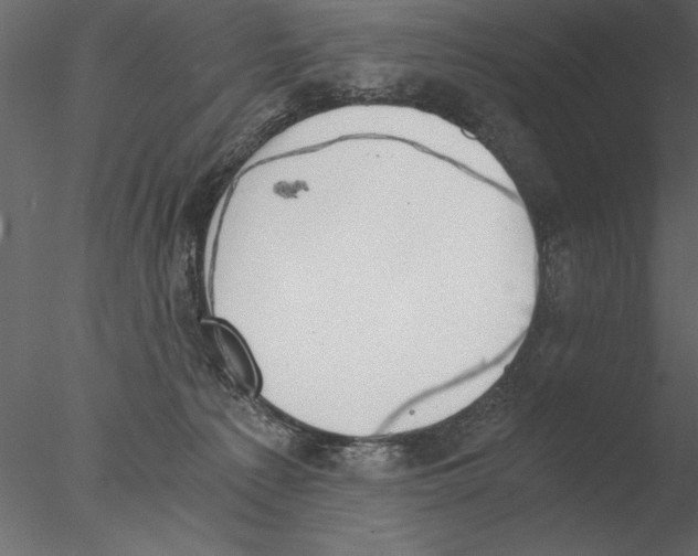 X0000076390225200611031703