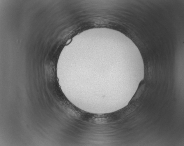 X0000076390228200611031703