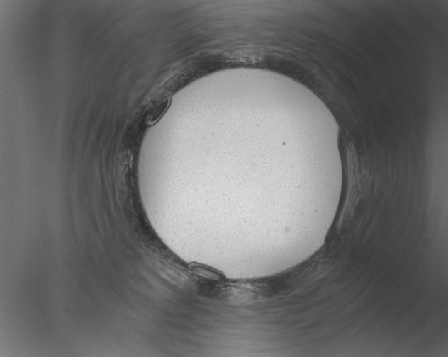 X0000076390229200611031703