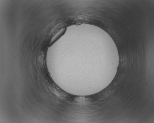 X0000076390231200611031703