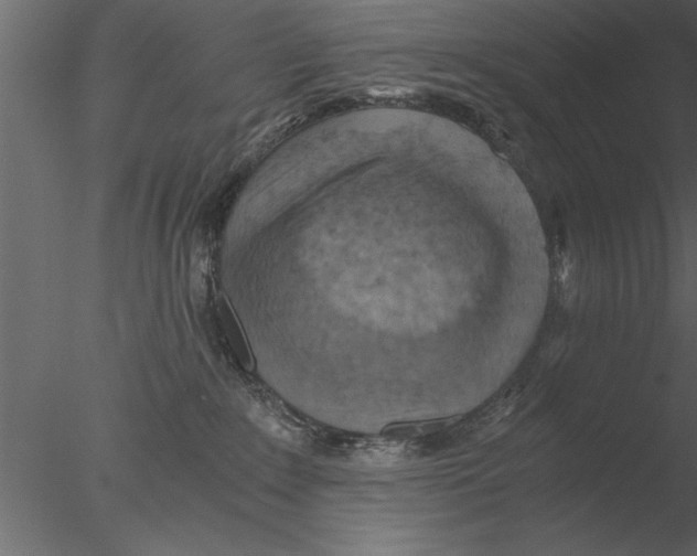 X0000076390235200611031703