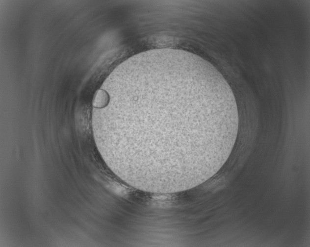 X0000076390240200611031703