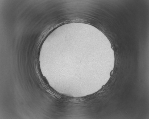 X0000076390241200611031702