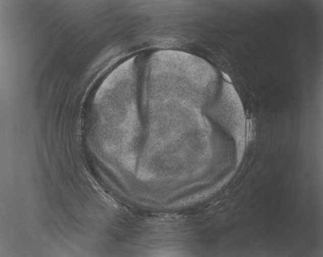 X0000076390243200611031702