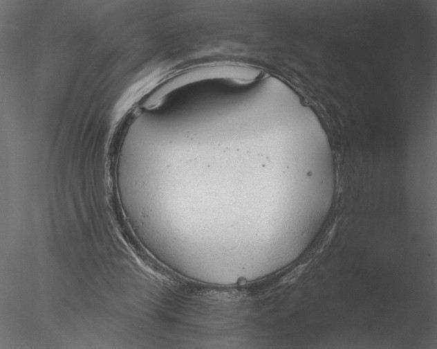 X0000076390245200611031702