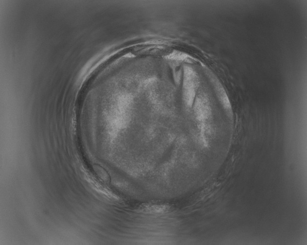 X0000076390247200611031702