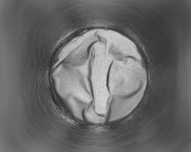 X0000076390249200611031702