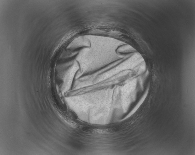 X0000076390250200611031702