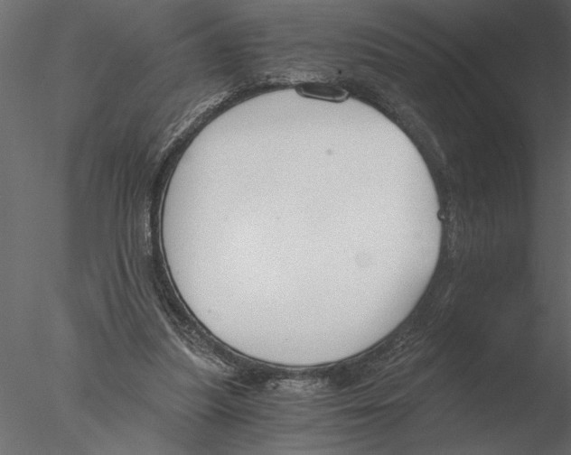 X0000076390251200611031702