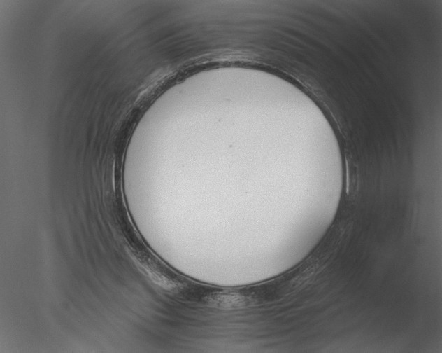 X0000076390253200611031702