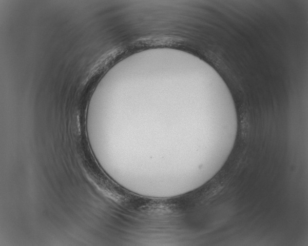 X0000076390254200611031702