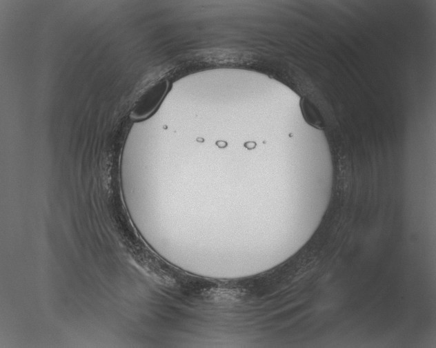 X0000076390255200611031702