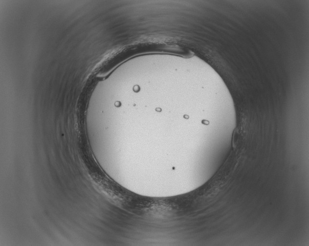 X0000076390256200611031702