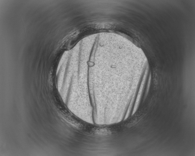 X0000076390258200611031703