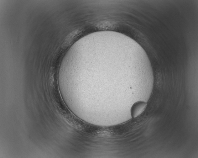 X0000076390259200611031703