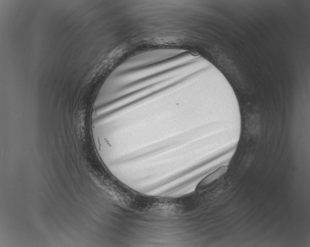 X0000076390260200611031703