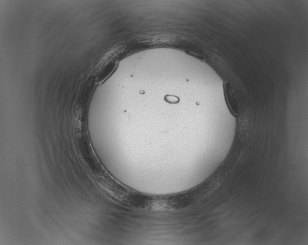 X0000076390264200611031703