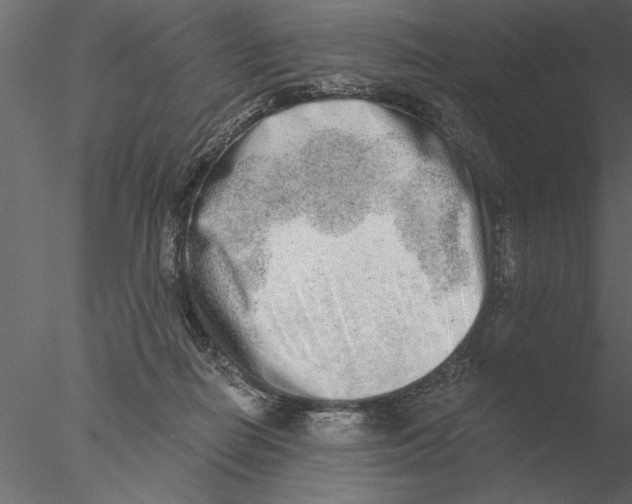 X0000076390266200611031703