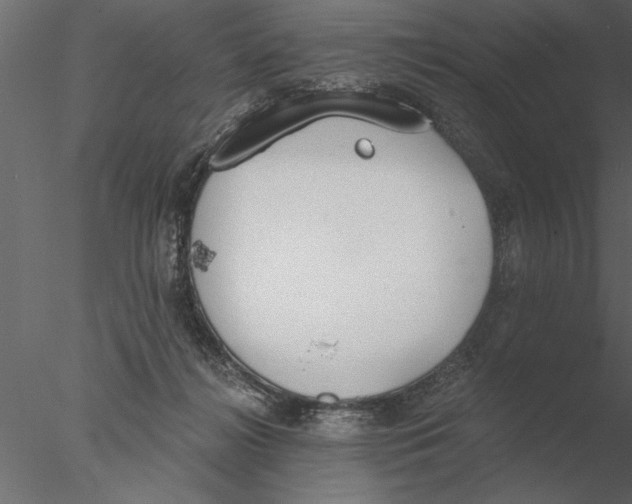 X0000076390268200611031703