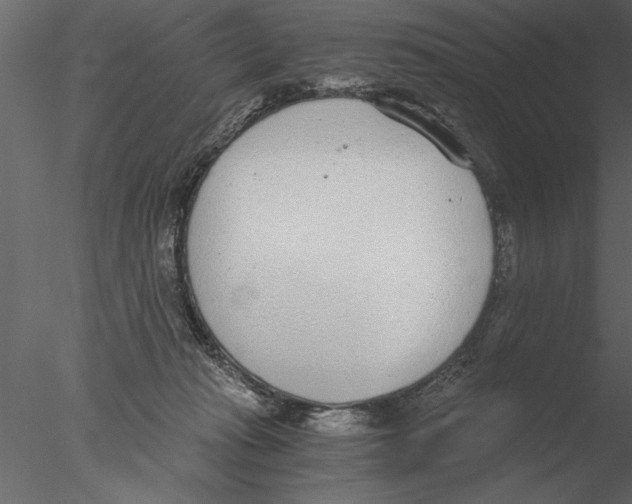 X0000076390269200611031703