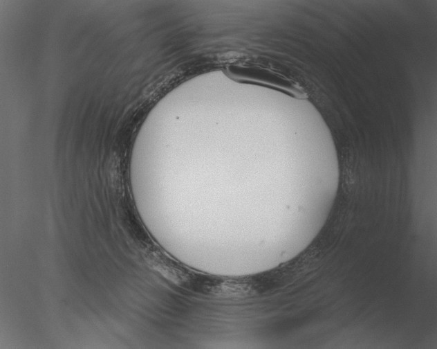 X0000076390270200611031703