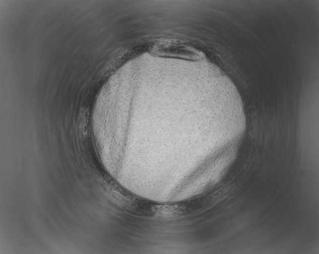 X0000076390273200611031703