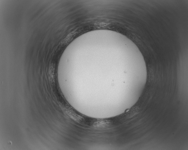 X0000076390274200611031703