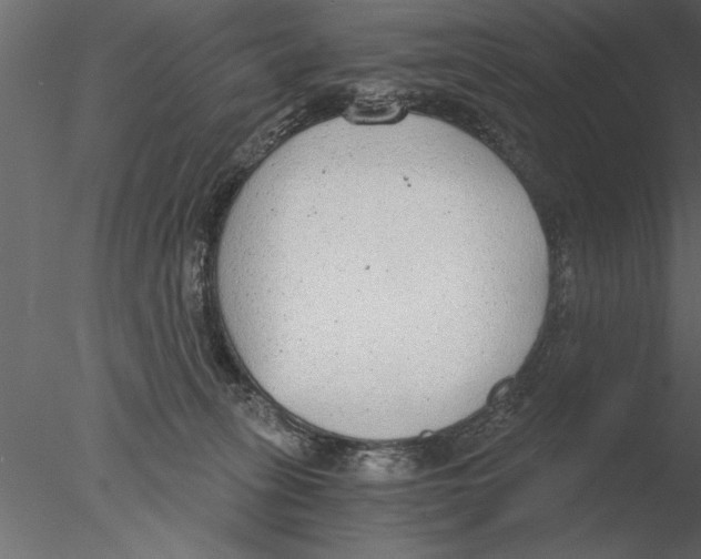 X0000076390275200611031703