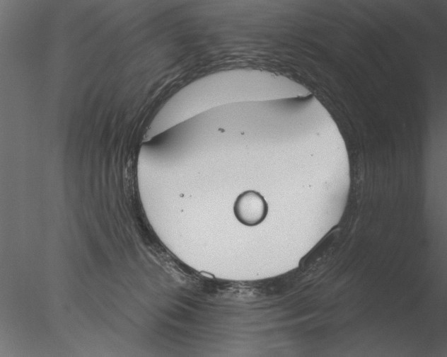 X0000076390276200611031703