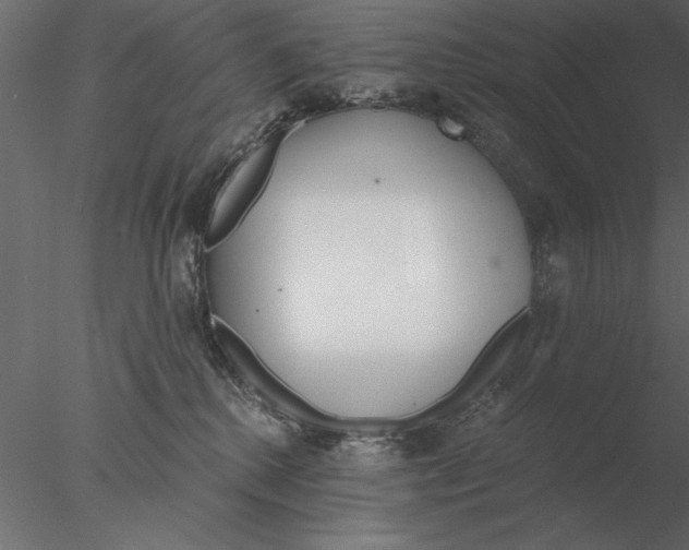 X0000076390280200611031703