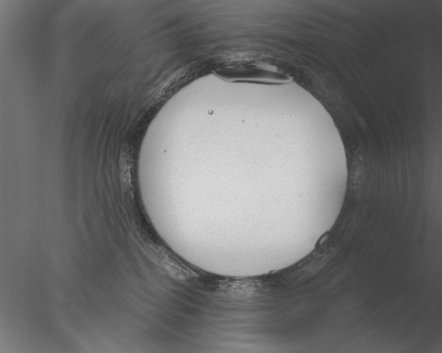 X0000076390282200611031703