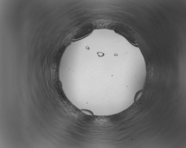 X0000076390283200611031703