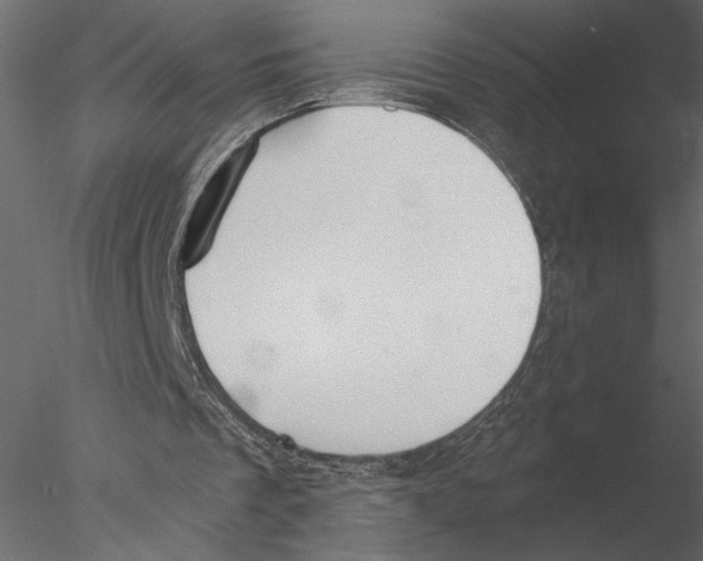 X0000076390289200611031702