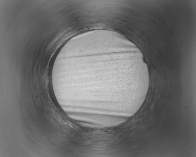 X0000076390290200611031702