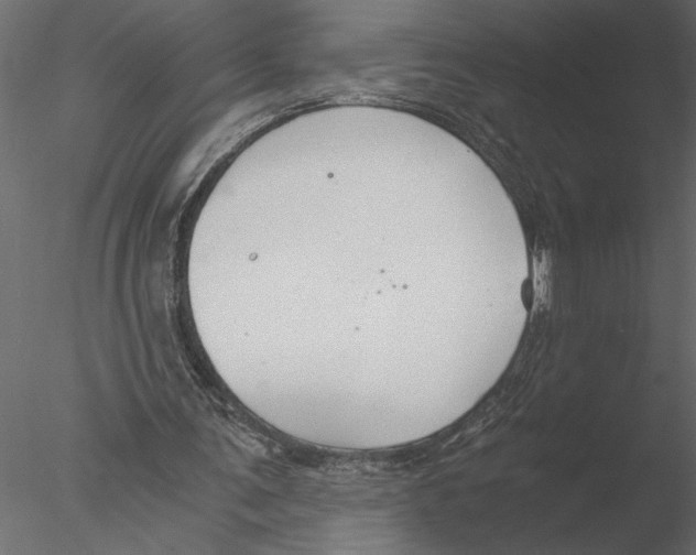 X0000076390291200611031702