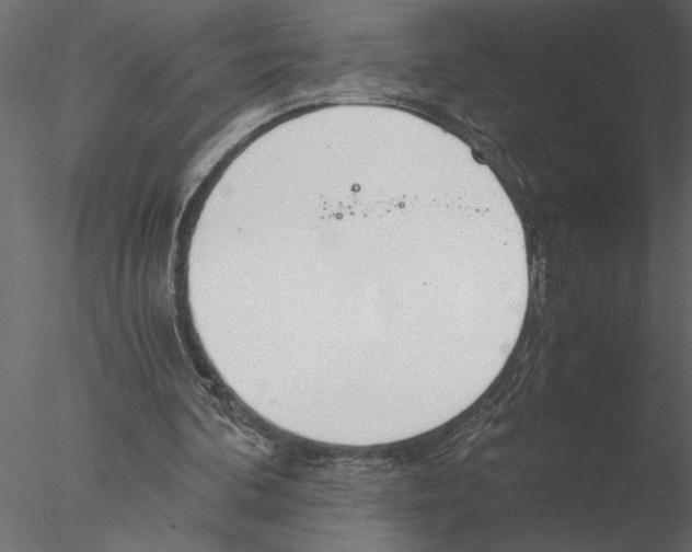 X0000076390292200611031702