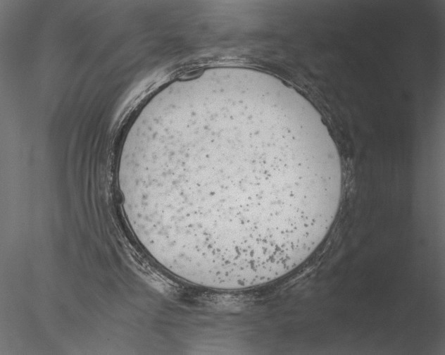 X0000076390293200611031702