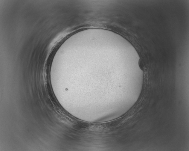 X0000076390294200611031702