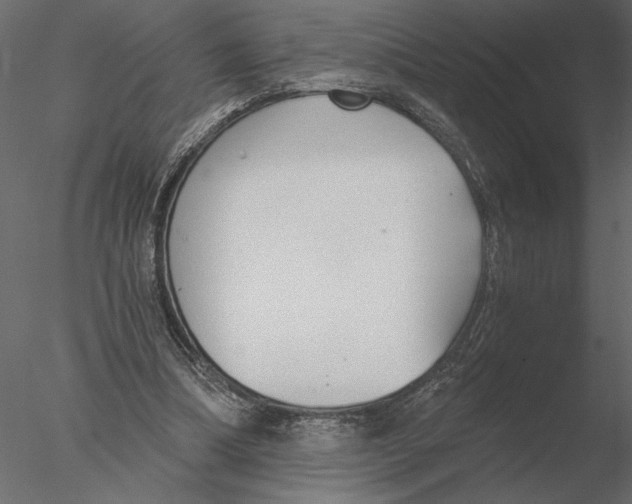 X0000076390298200611031702