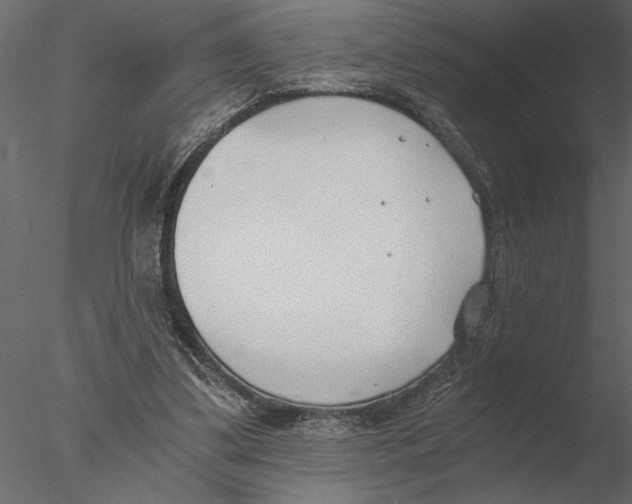 X0000076390299200611031702