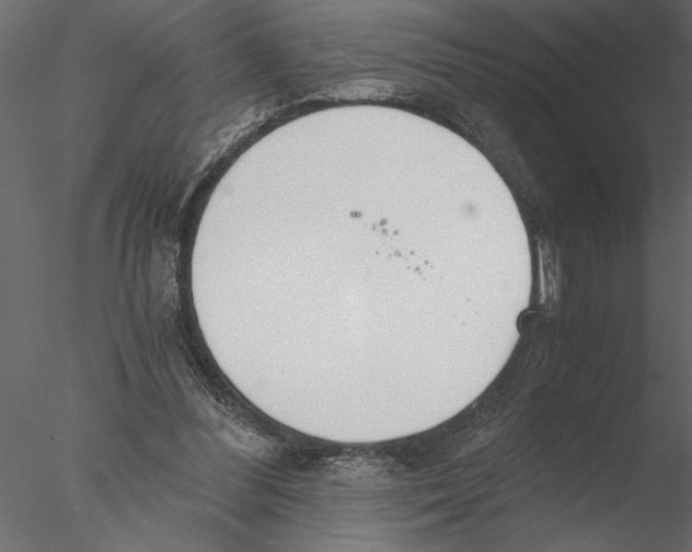 X0000076390300200611031702